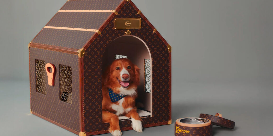 Who Let the Dogs Out: High fashion for dogs